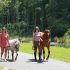 LOCATION DE PONEY avec CAVAL’OISANS – 30 MIN