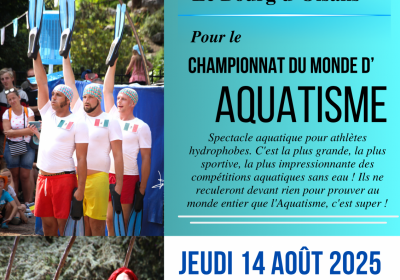 Summer Thursday – the world aquatic championship – compagnie la Bugn