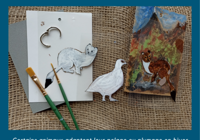Magical animals