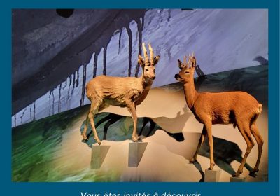 Preview of the GALTA Museum