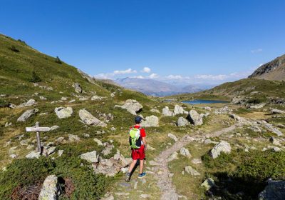 Rdv avec une animatrice du Parc national des Ecrins