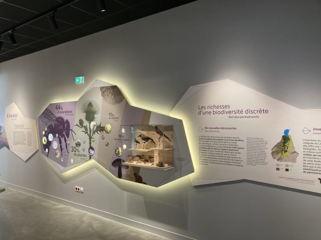Permanent exhibition of the Ecrins National Park_Le Bourg-d’Oisans