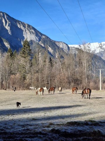 Domaine de la grande Longe – Le petit chalet_Le Bourg-d’Oisans