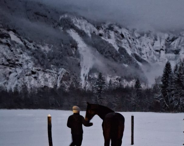 Domaine de la grande Longe – Le petit chalet_Le Bourg-d’Oisans