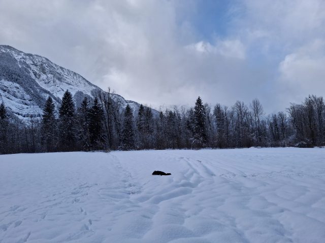 Domaine de la grande Longe – Le petit chalet_Le Bourg-d’Oisans