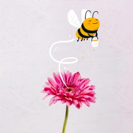 Bee Safari