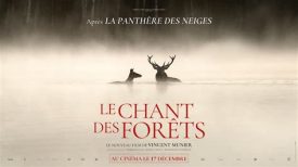 Ciné rencontre “Le chant des forêts”