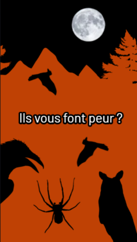 Spiders, crows, bats, and the like: not such monsters after all…_Le Bourg-d’Oisans