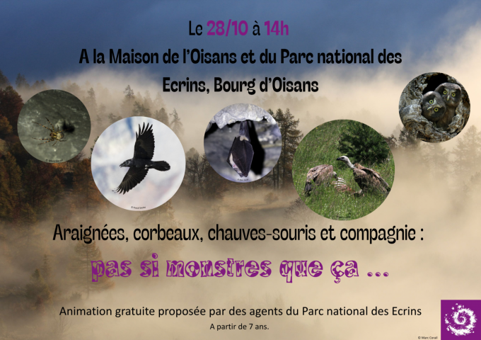 Spiders, crows, bats, and the like: not such monsters after all…_Le Bourg-d’Oisans